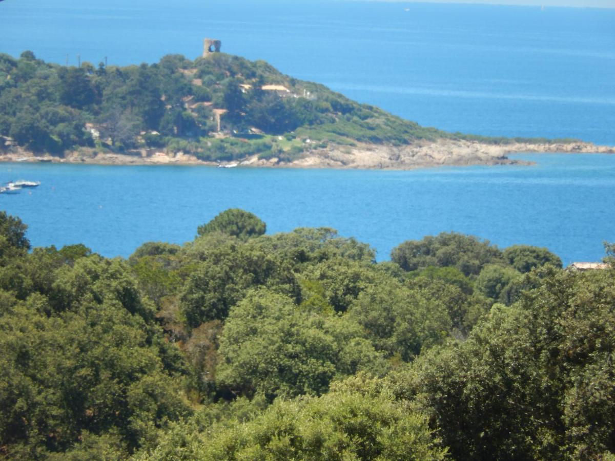 Nuit Calme Sur Domaine Daire Calcatoggio  Dış mekan fotoğraf
